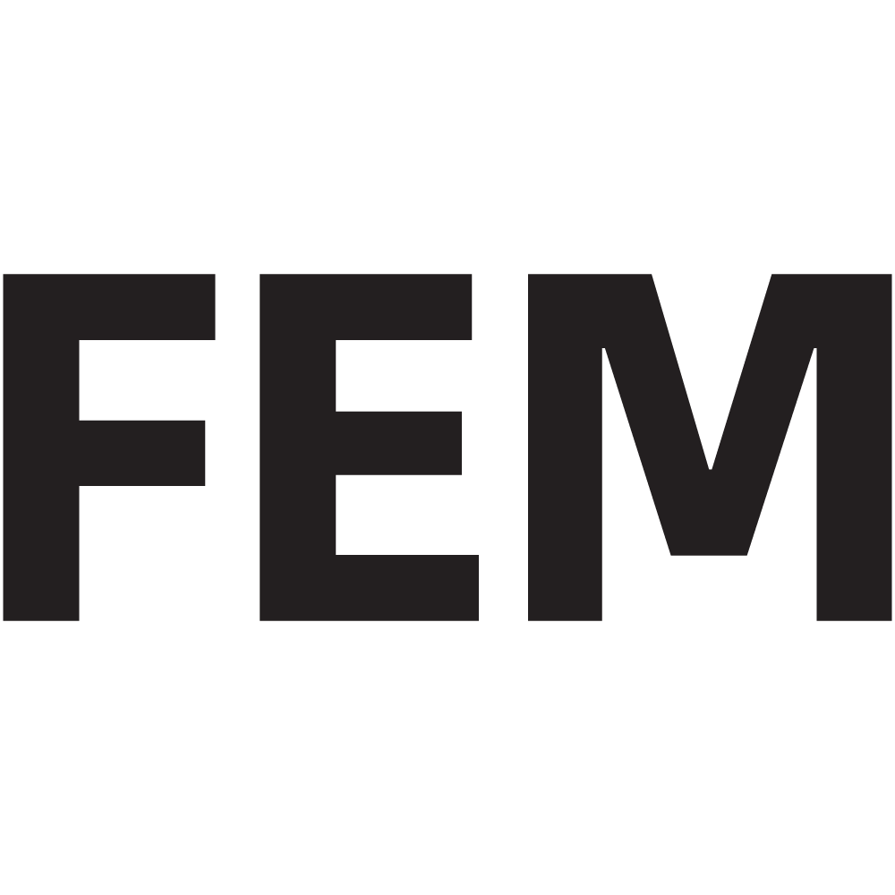 FEM