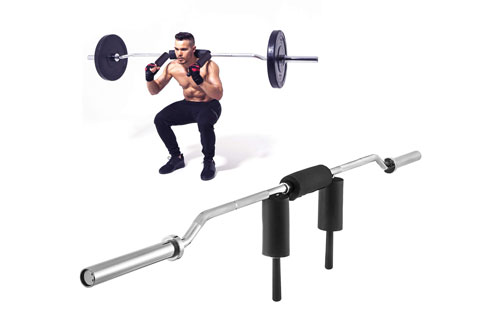 why you should add safety squat bar to your home gym(图1)