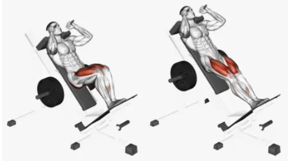 How Often Should You Train Legs(图4)