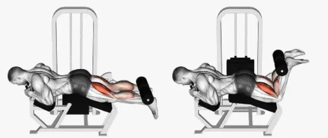 How Often Should You Train Legs(图5)