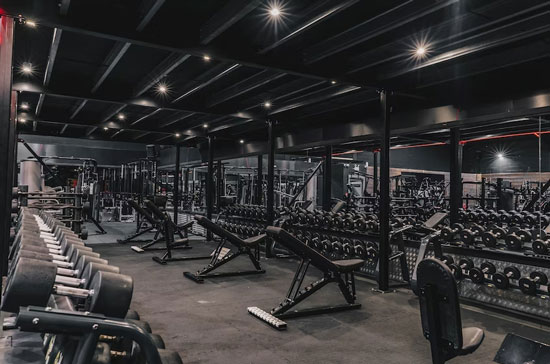 Leadman Fitness Fitness Bench