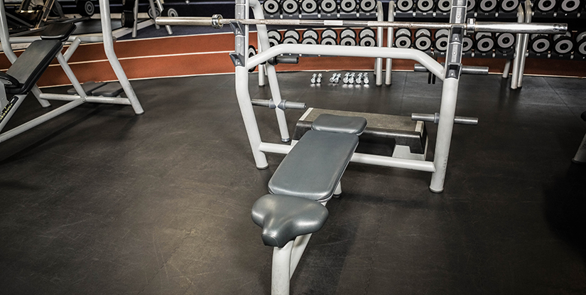 The Ultimate Guide to Ab and Dip Machines(图1)